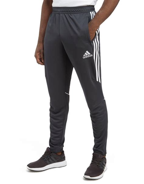 Adidas pants for men